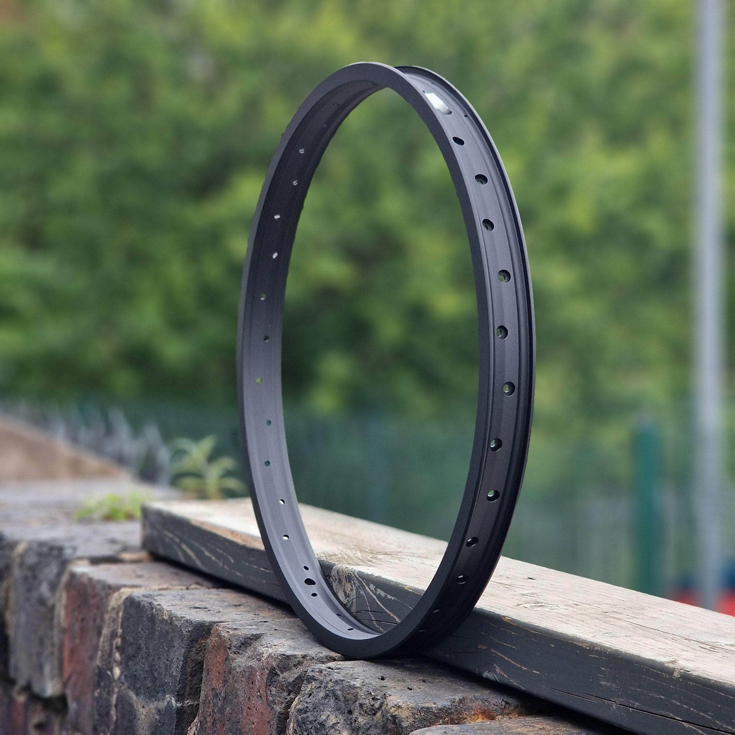 Alienation BMX Parts Black / 20 Inch Alienation Black Sheep Rim Black