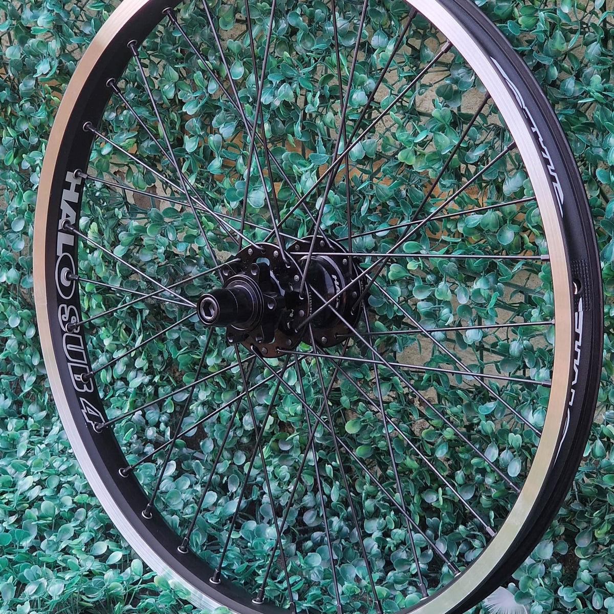 Halo BMX Racing Halo Sub-4 Supadrive Rear Disc Cassette Race 20 inch Wheel Black