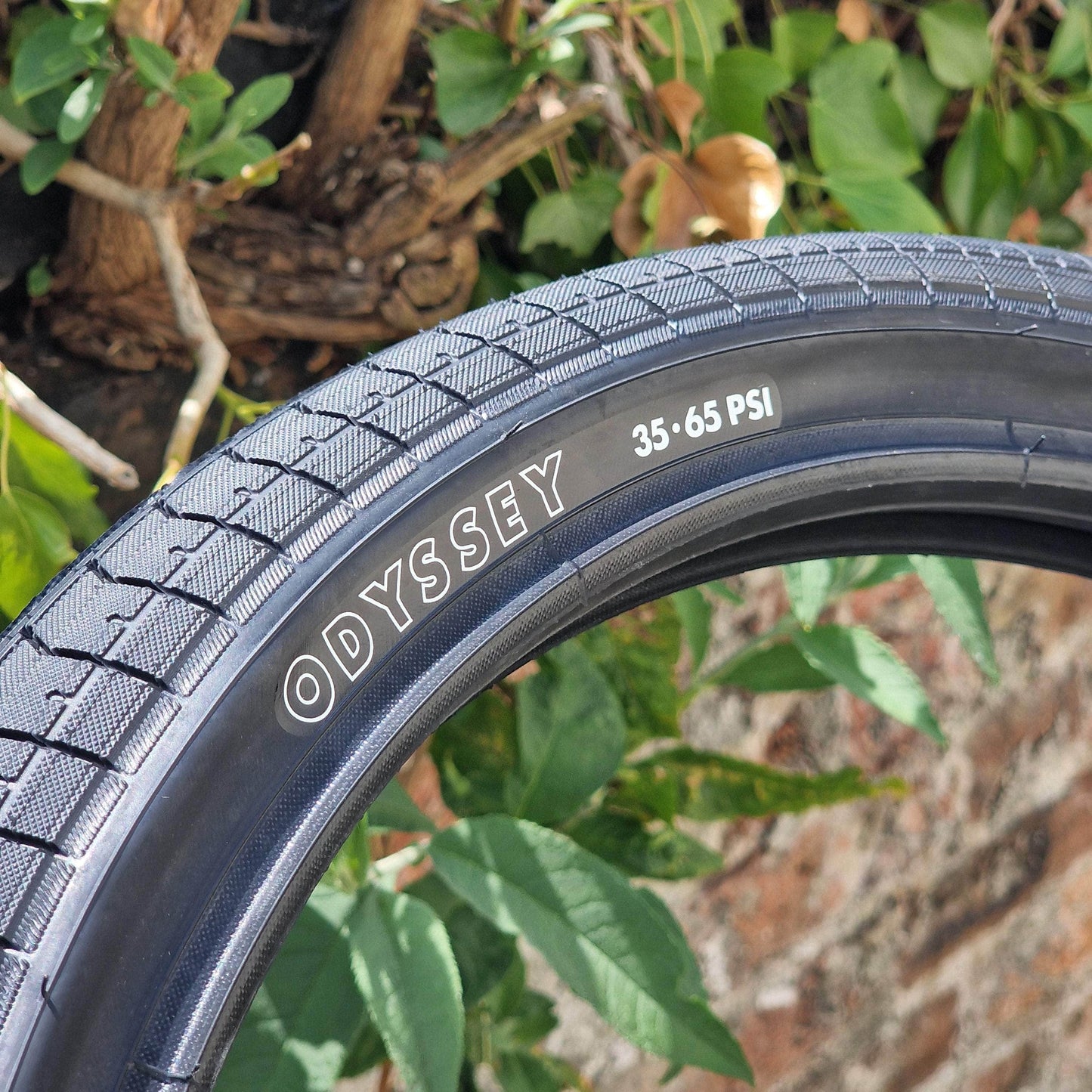 Odyssey BMX Parts 20x2.40 Odyssey Path Pro OEM Tyre