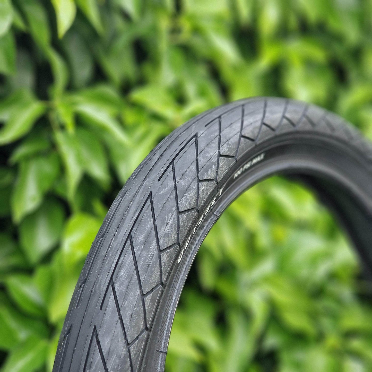 Odyssey BMX Parts Odyssey Tom DGN Tyre Black