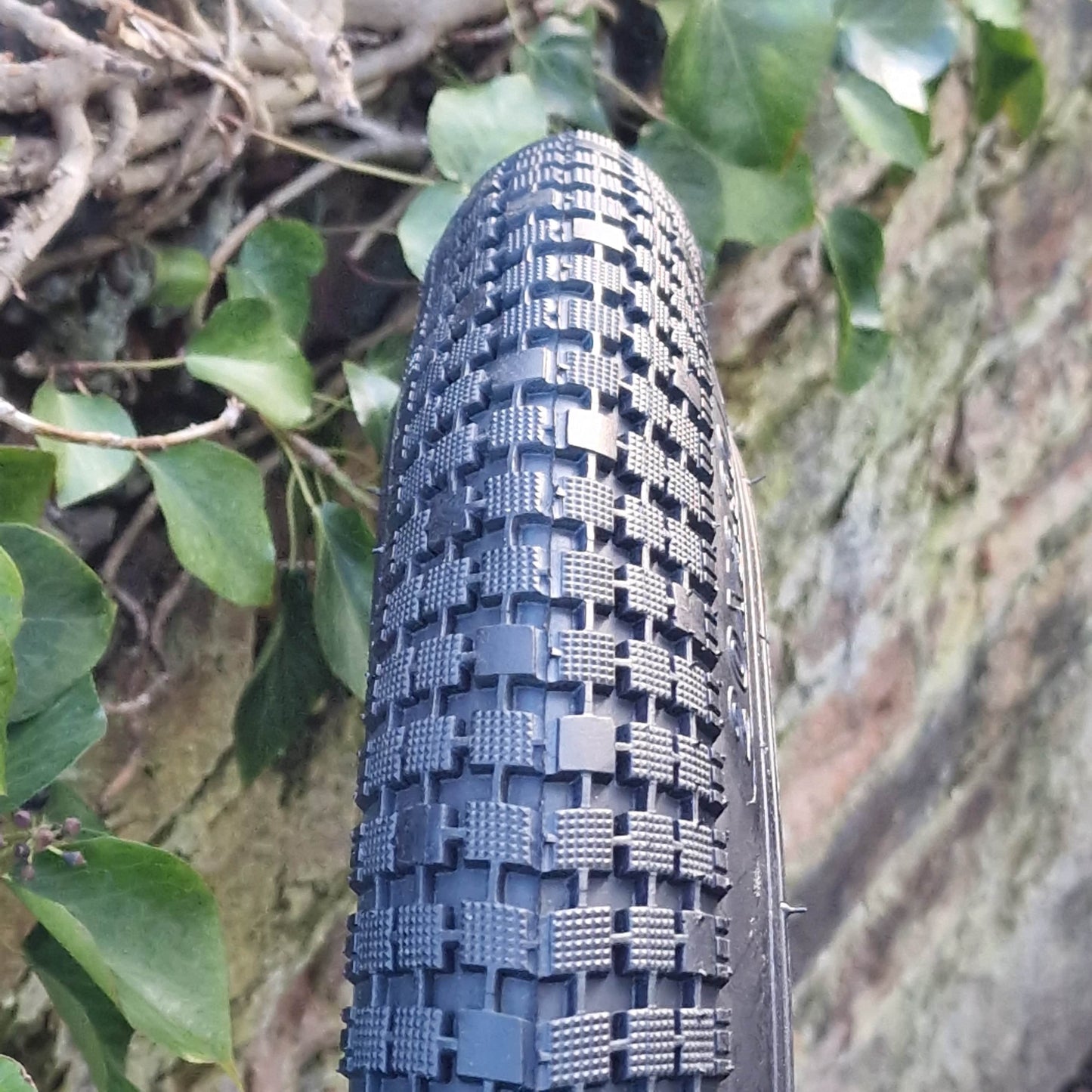 Tribal Bikes Black / 20 x 2.30 Tribal 2.30" Tyre Black