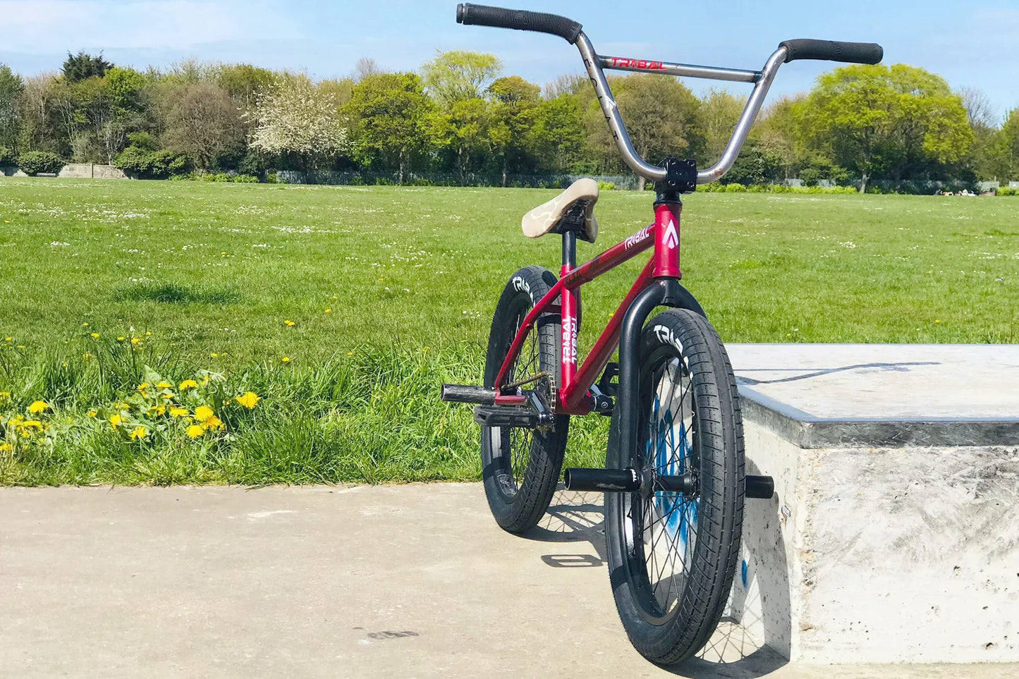 Tribal Bikes Black / 20 x 2.40 Tribal 2.40" Tyre Black