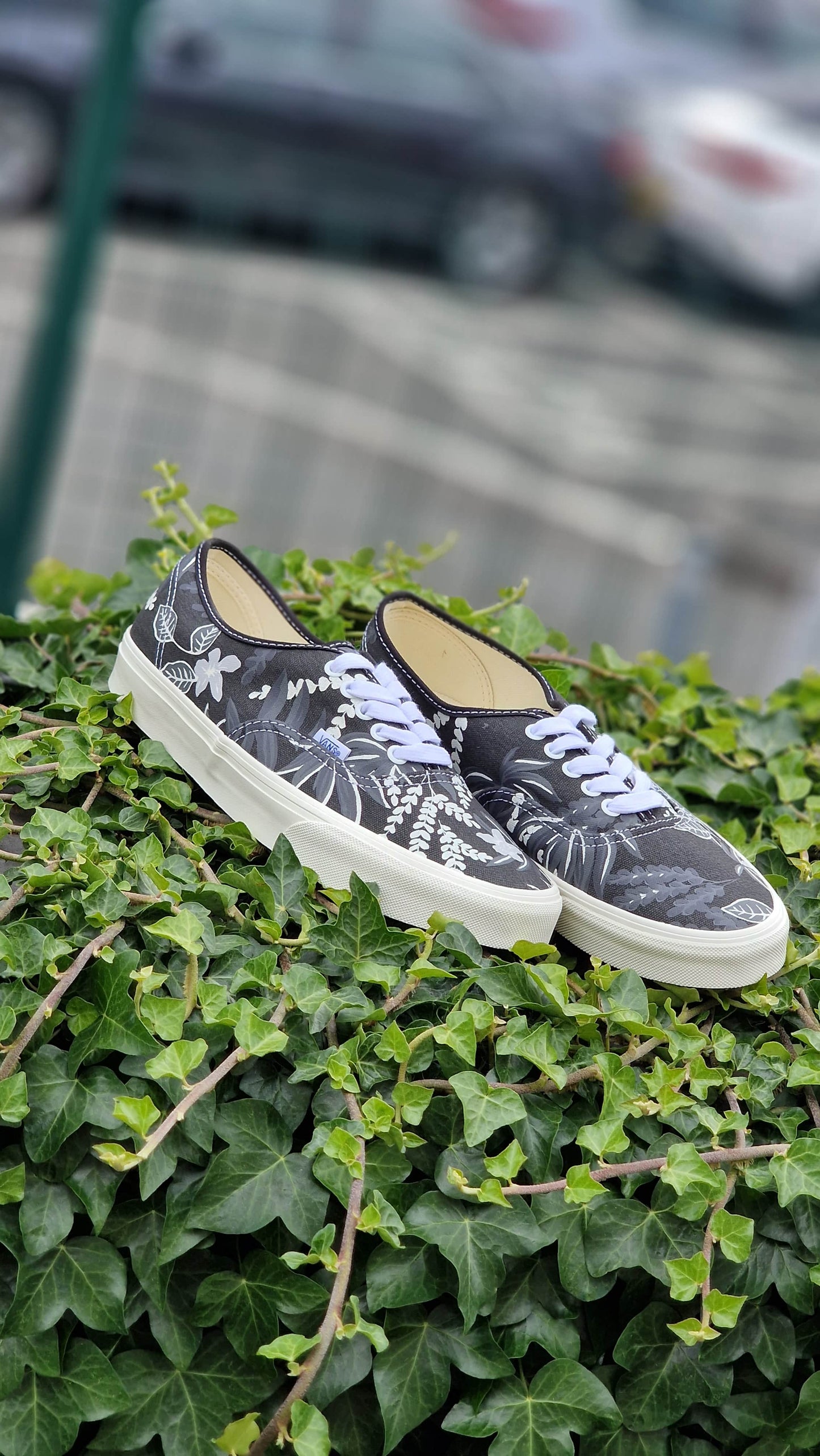 Vans Clothing & Shoes Vans Authentic Shoes Floral Multi