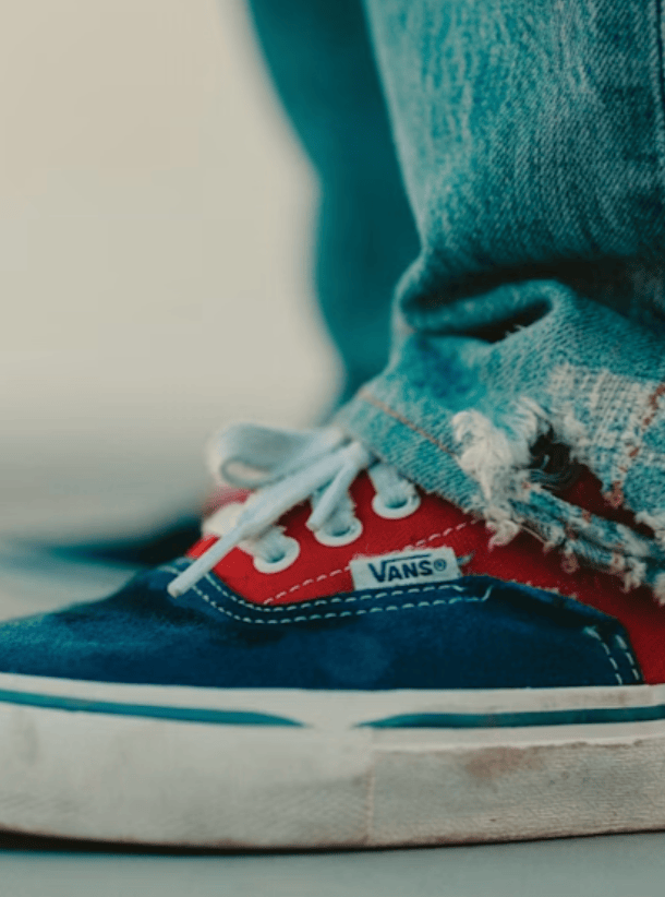 Vans Clothing & Shoes Vans Skate Era Shoes Blue / Red Robinson / Mongoose Colourway