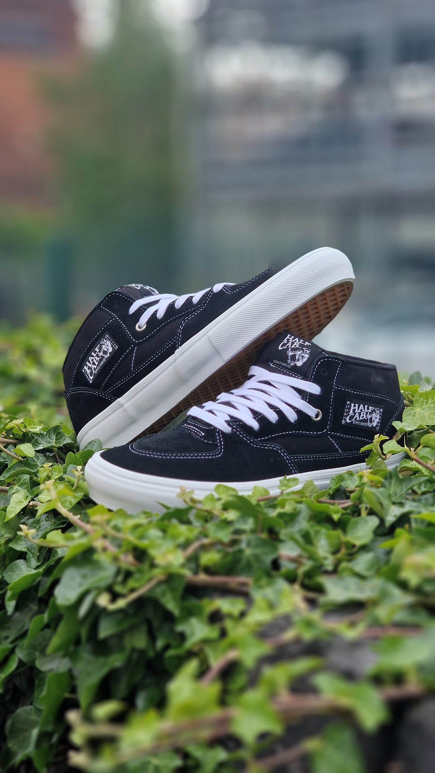 Vans Clothing & Shoes Vans Skate Half Cab Shoes Black / White