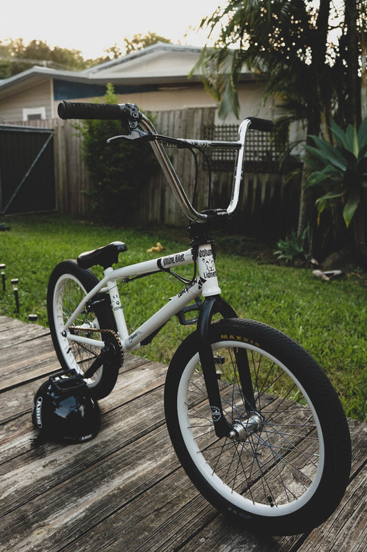 Volume Lara Lessmann Signature Frame