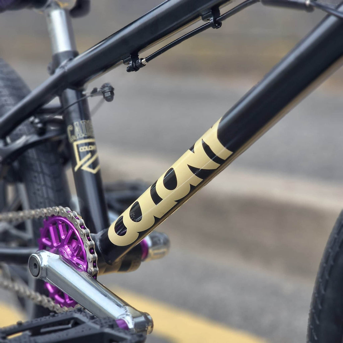 Colony Cadet 19.2" Custom Build - For Riders Moving Up from an 18"