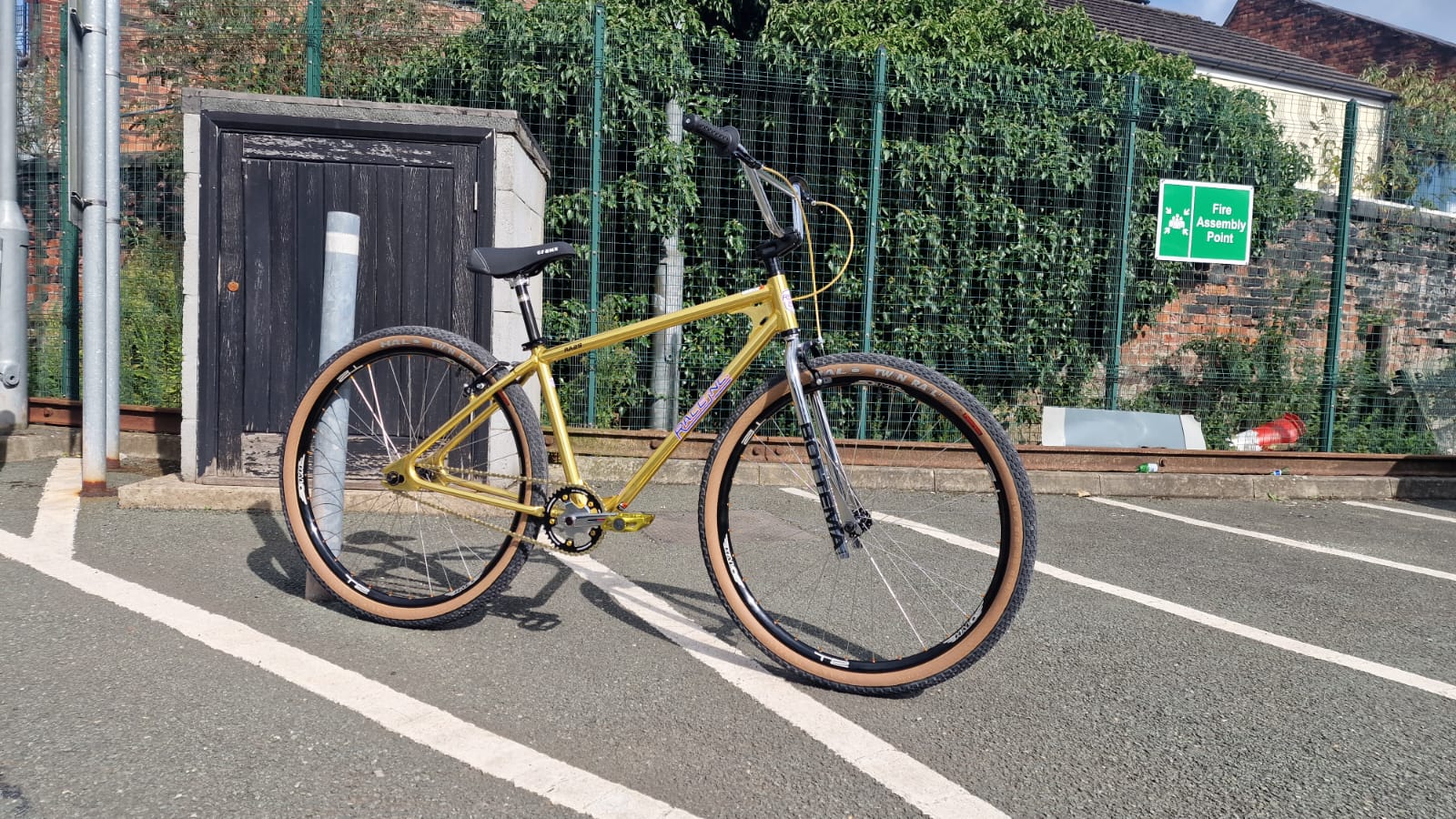Race Inc RA29 Custom Build | Alans BMX