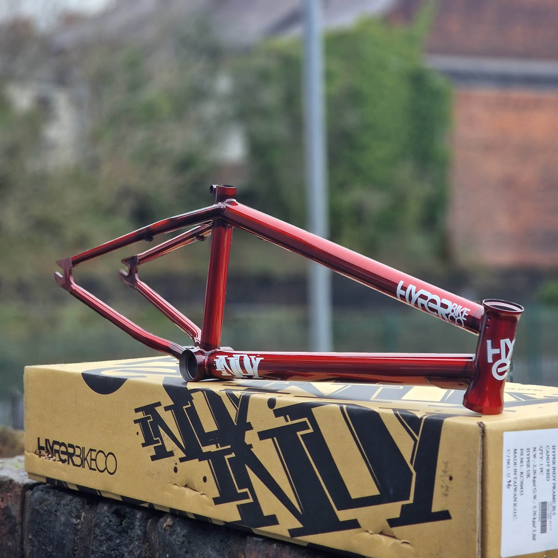 New Hyper Indy Translucent Red Frames