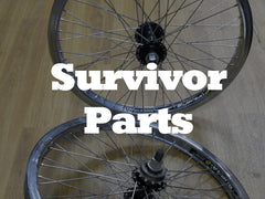 Survivor Parts