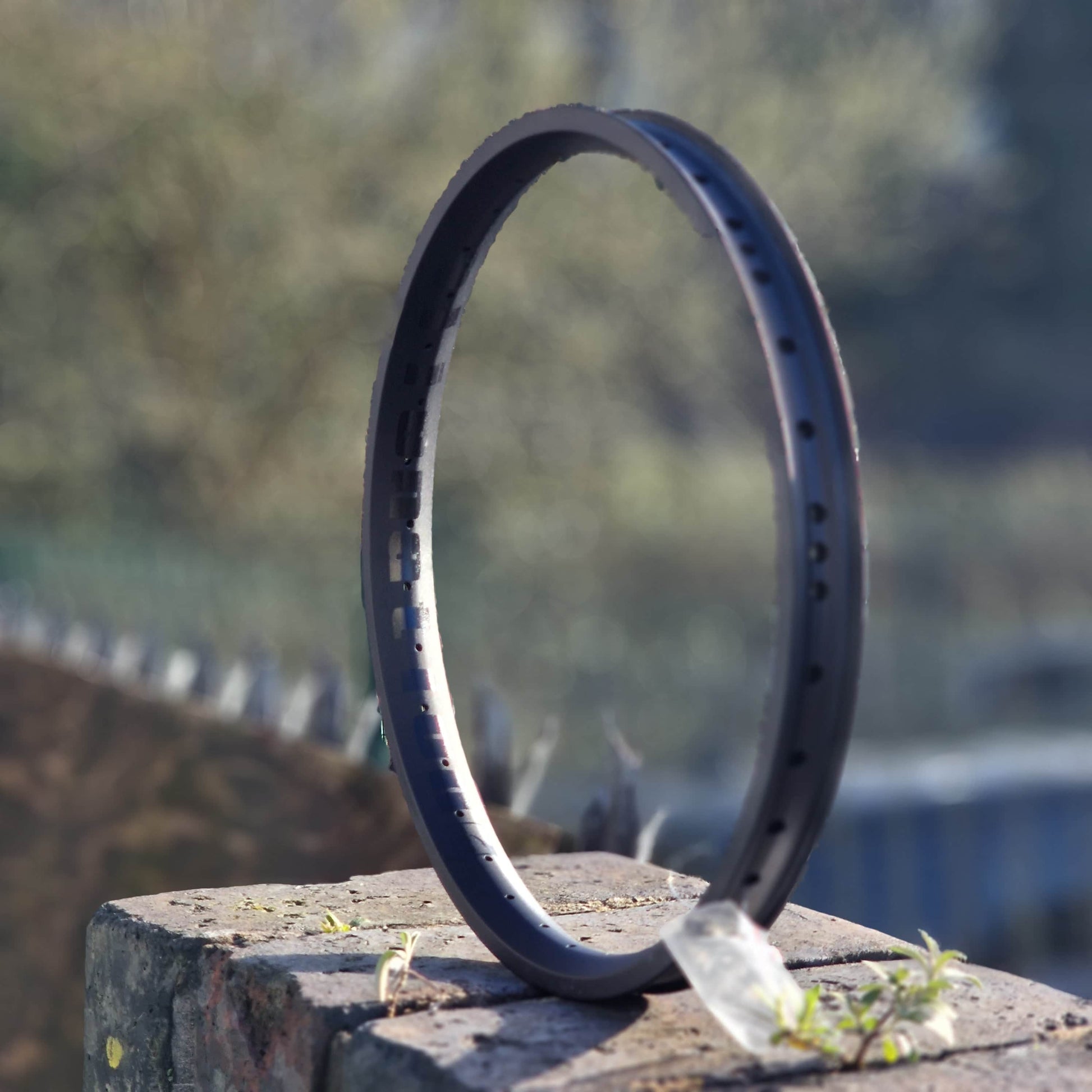 Alienation BMX Parts Black / 20 Inch Alienation TCS Vandal Rim