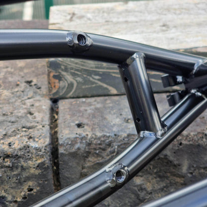 Alive Industry BMX Parts Alive Industry FTW Frame ED Black