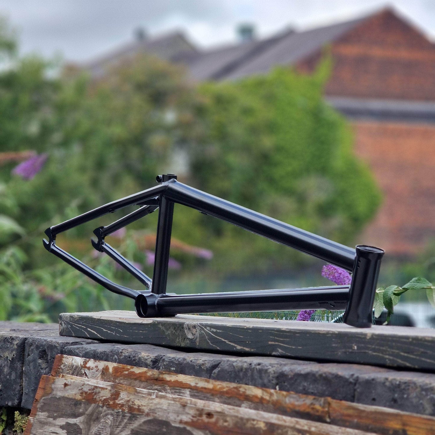 Alive Industry BMX Parts Alive Industry FTW Frame ED Black