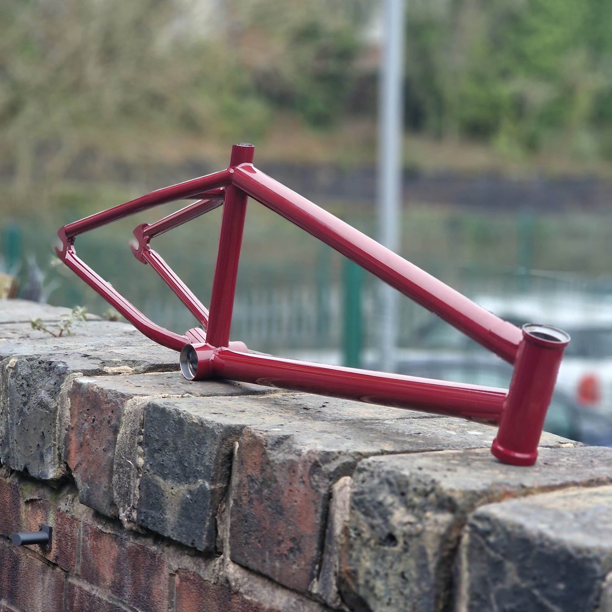 Animal Bikes BMX Parts Animal Bikes Red Eye Frame Red