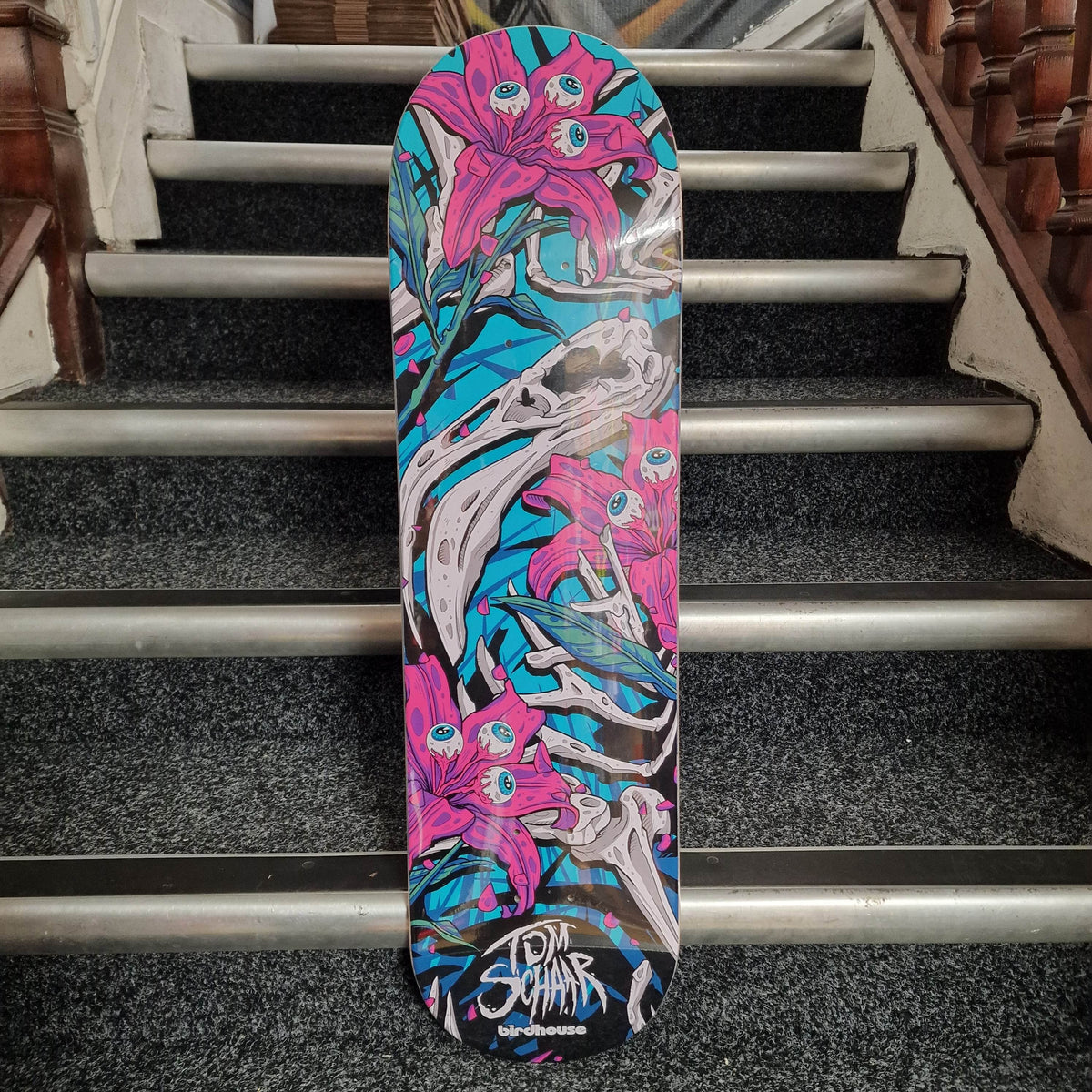 Birdhouse Skateboards Orange / 8.38 Birdhouse Pro Deck Tom Schaar Tillbrook 8.38" Skateboard Deck