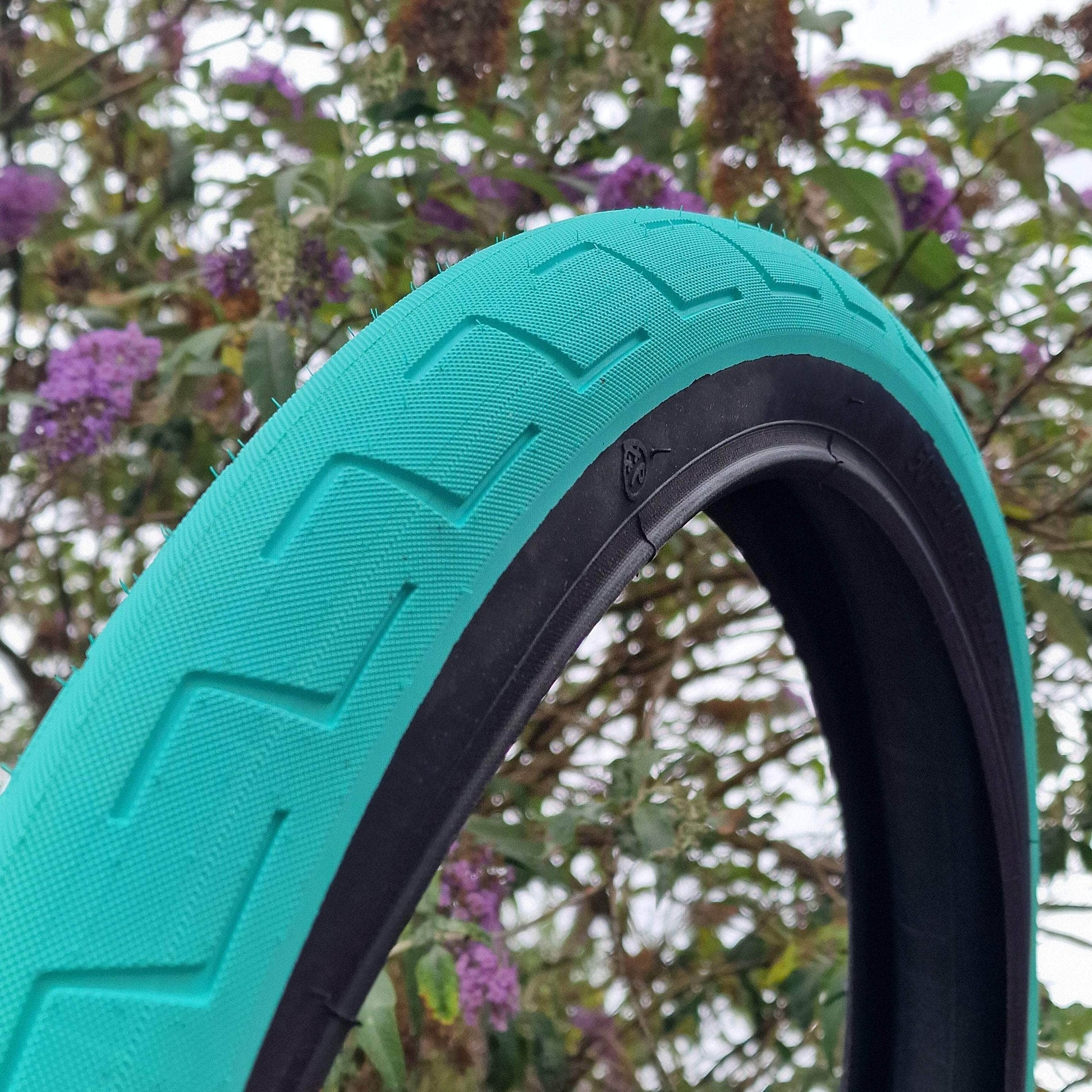 BSD BMX Parts BSD Donnastreet Tyre Teal