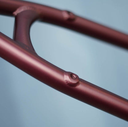 BSD BMX Parts BSD Tweeker Antonio Smallwood Frame Cherry Coloured Funk