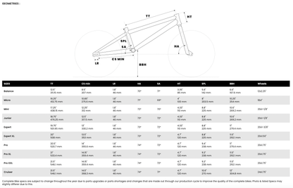 Chase BMX Racing Cement Grey Chase Edge Expert XL Race Bike Cement Grey