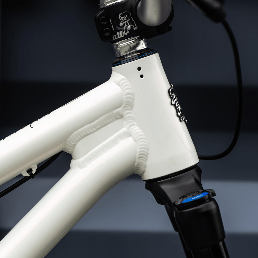 Chromag Bikes Bikes Chromag Signature Complete Dirt Jump Bike