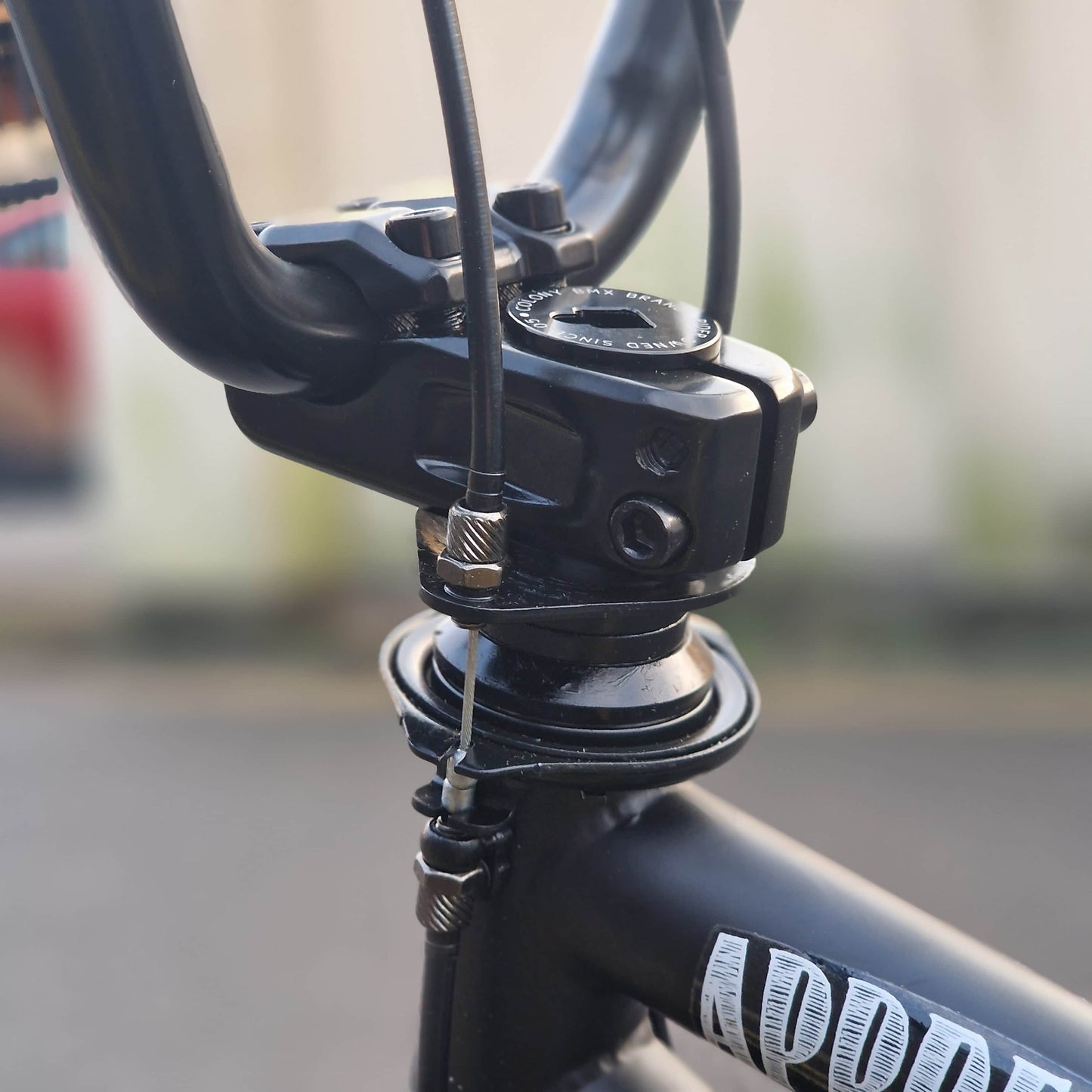 Colony BMX Flatland Black / 18.9 Colony Apprentice 18.9" TT Flatland Bike Black