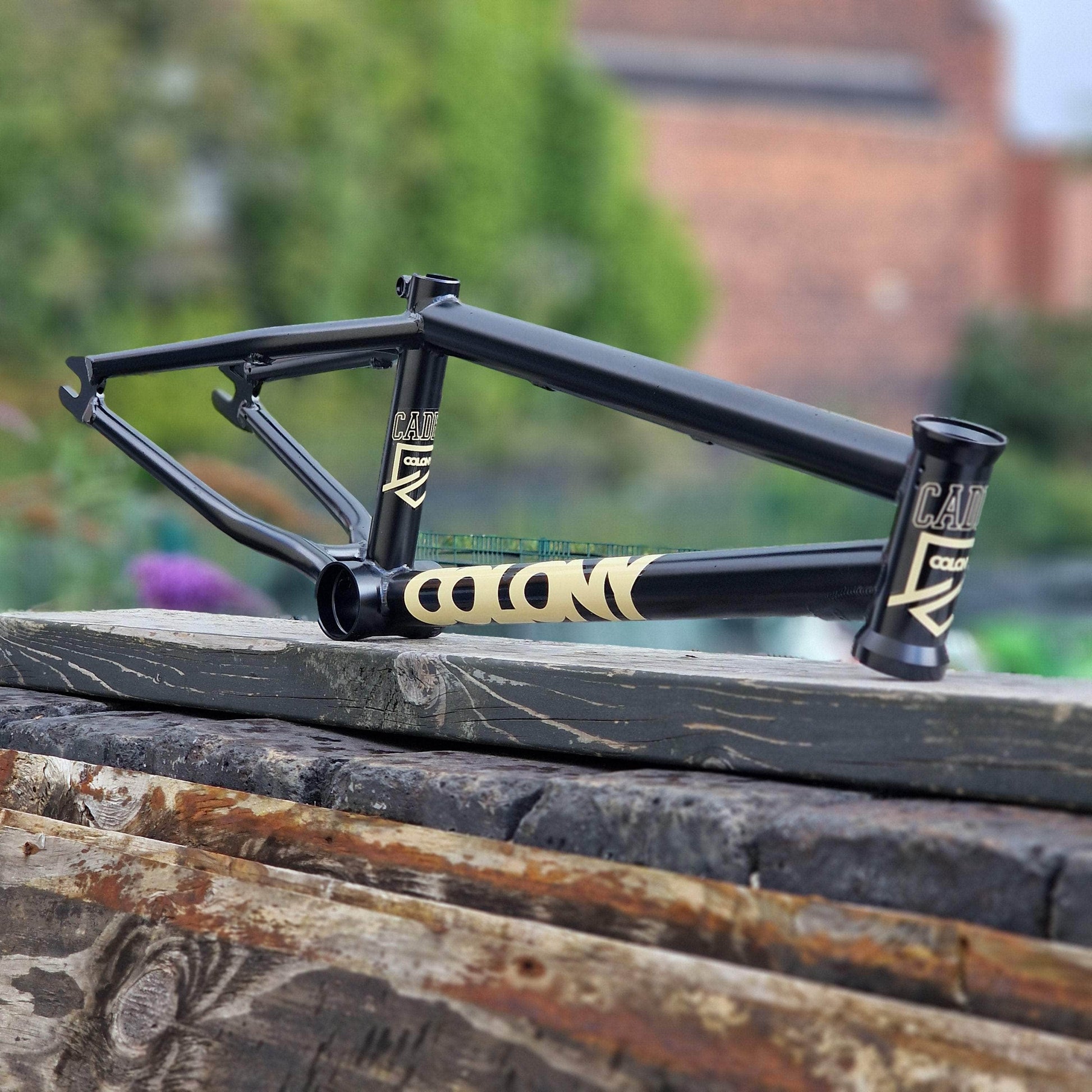 Colony BMX Parts Black / 16 Colony Cadet 16 Inch Frame Black