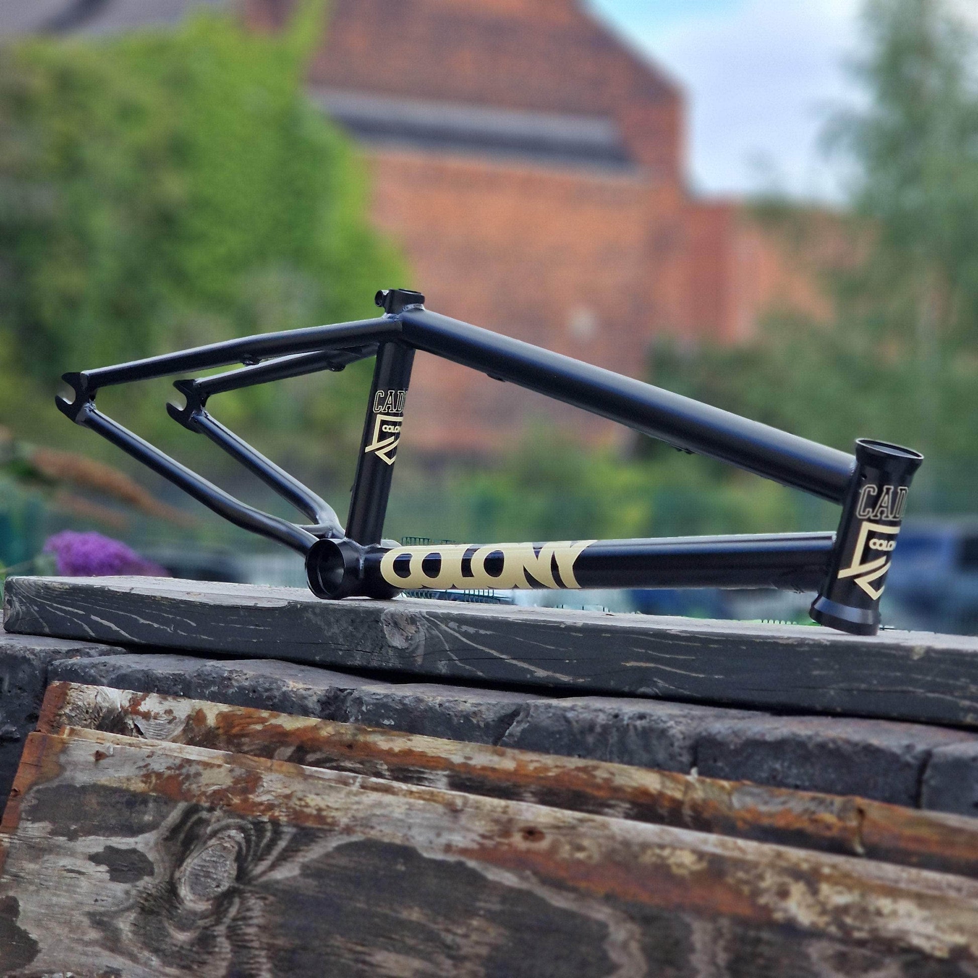 Colony BMX Parts Black / 18 Colony Cadet 18 Inch Frame Black