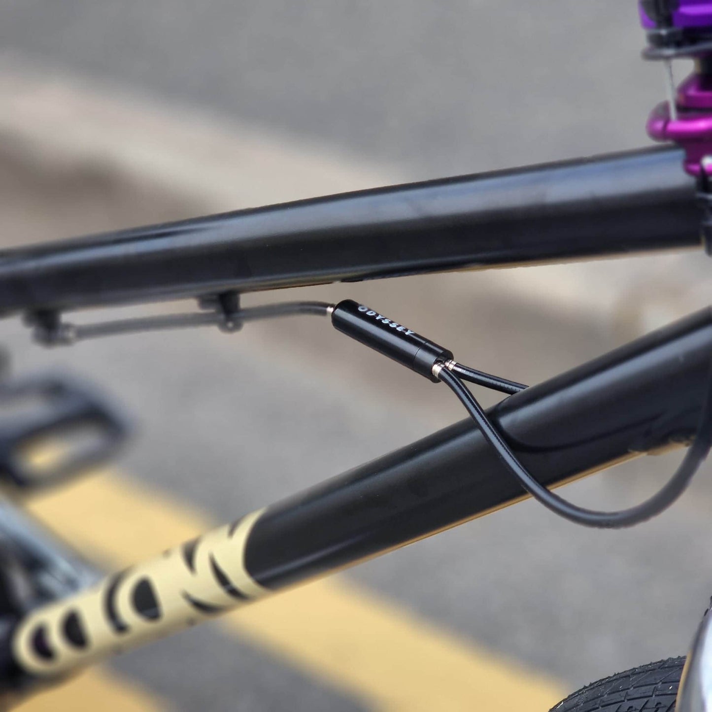 Colony BMX Bikes Black Colony Cadet 19.2" TT Custom Bike Black / Chrome / Purple
