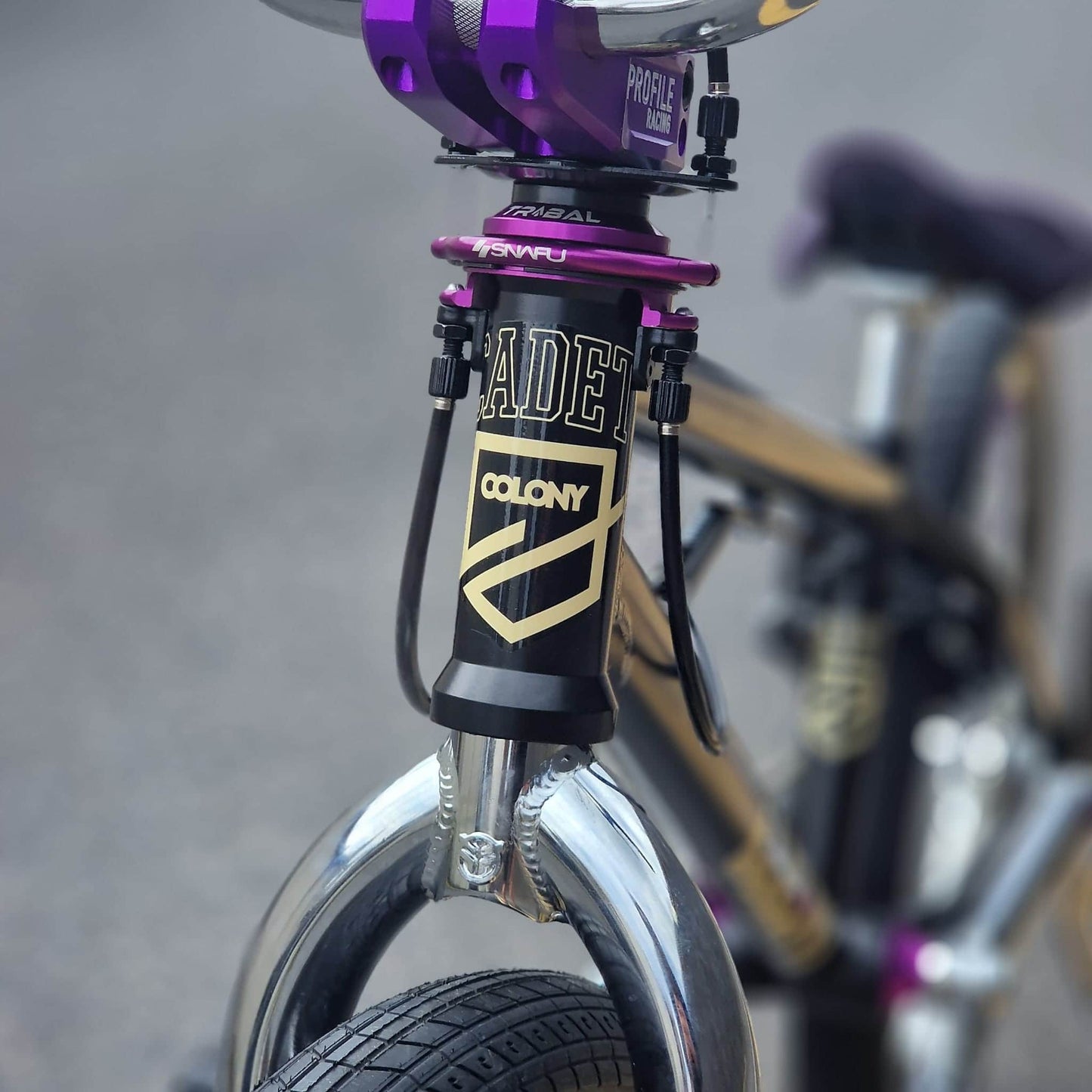 Colony BMX Bikes Black Colony Cadet 19.2" TT Custom Bike Black / Chrome / Purple