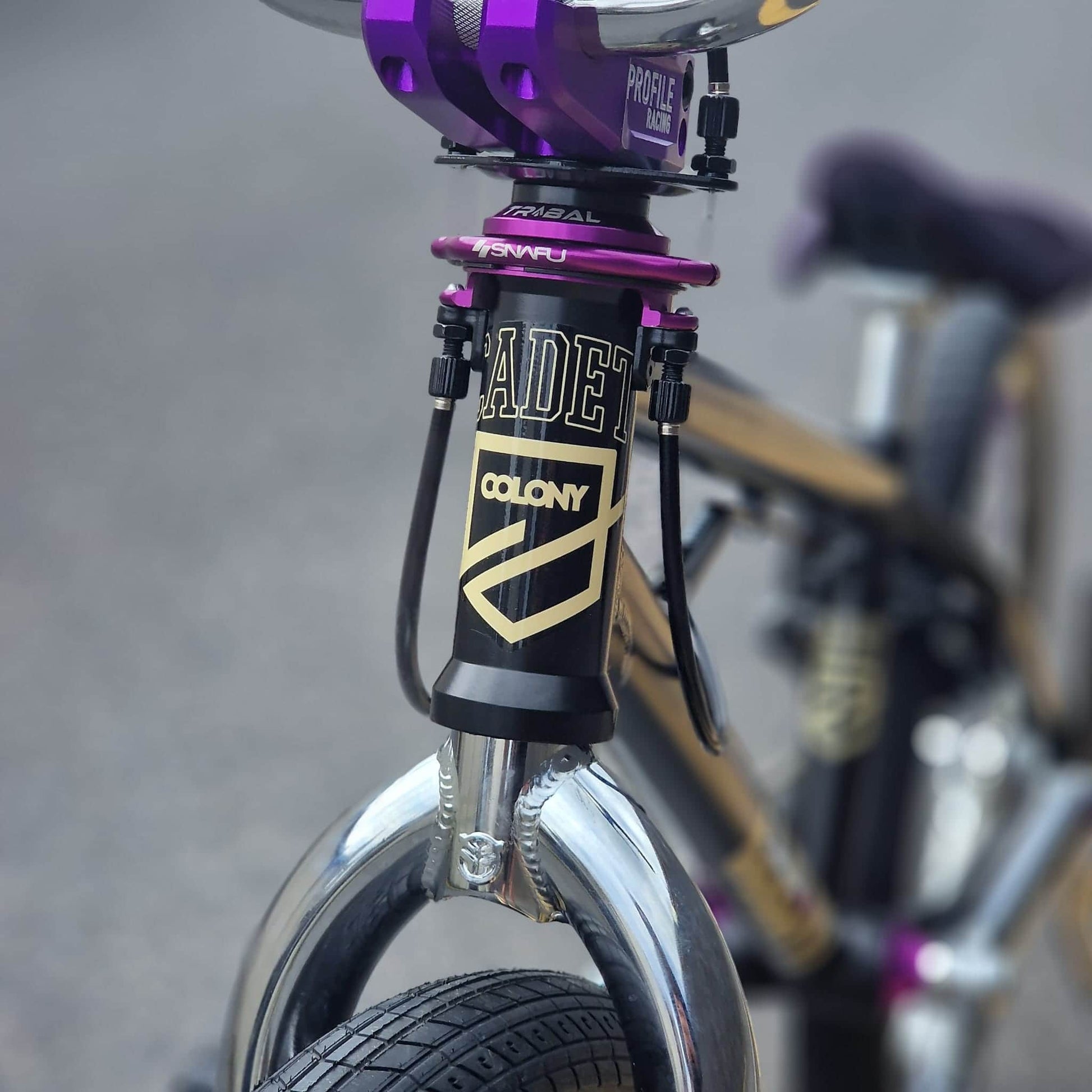 Colony BMX Bikes Black Colony Cadet 19.2" TT Custom Bike Black / Chrome / Purple