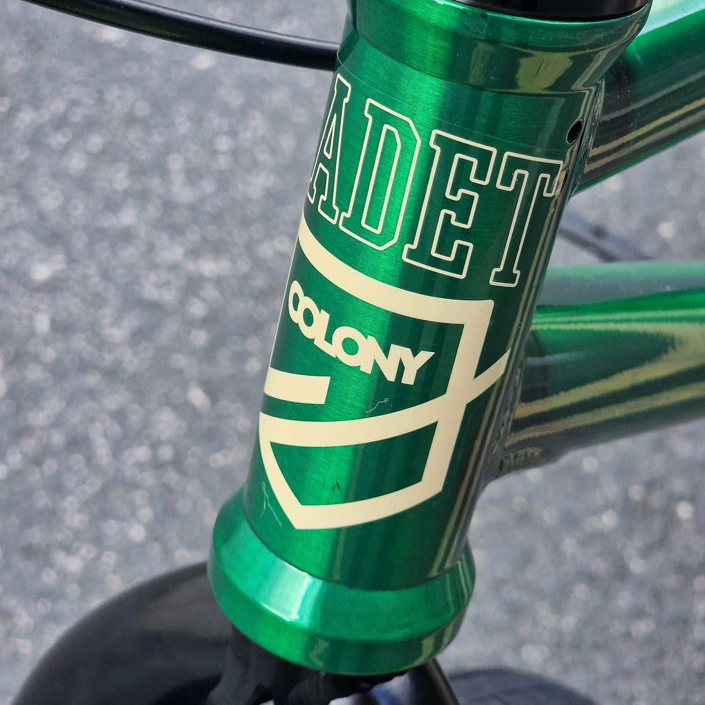 Colony BMX Bikes Clear Moss Green / 21 Colony Cadet Elite 21" TT Bike Clear Moss Green