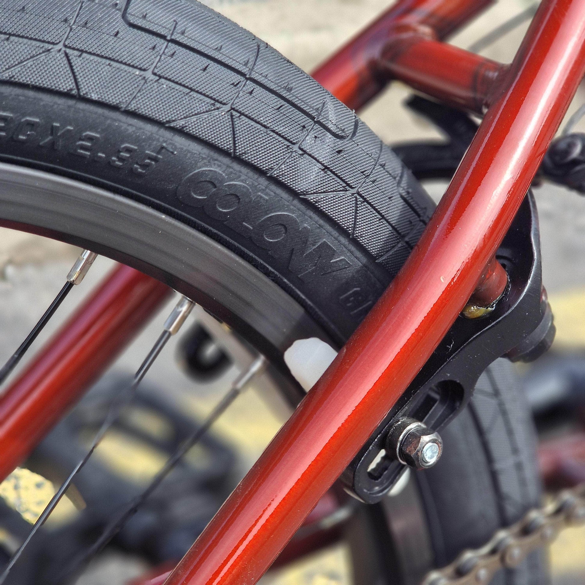 Colony BMX Bikes Clear Red / 20.75 Colony Emerge 20.75" TT Bike Clear Red