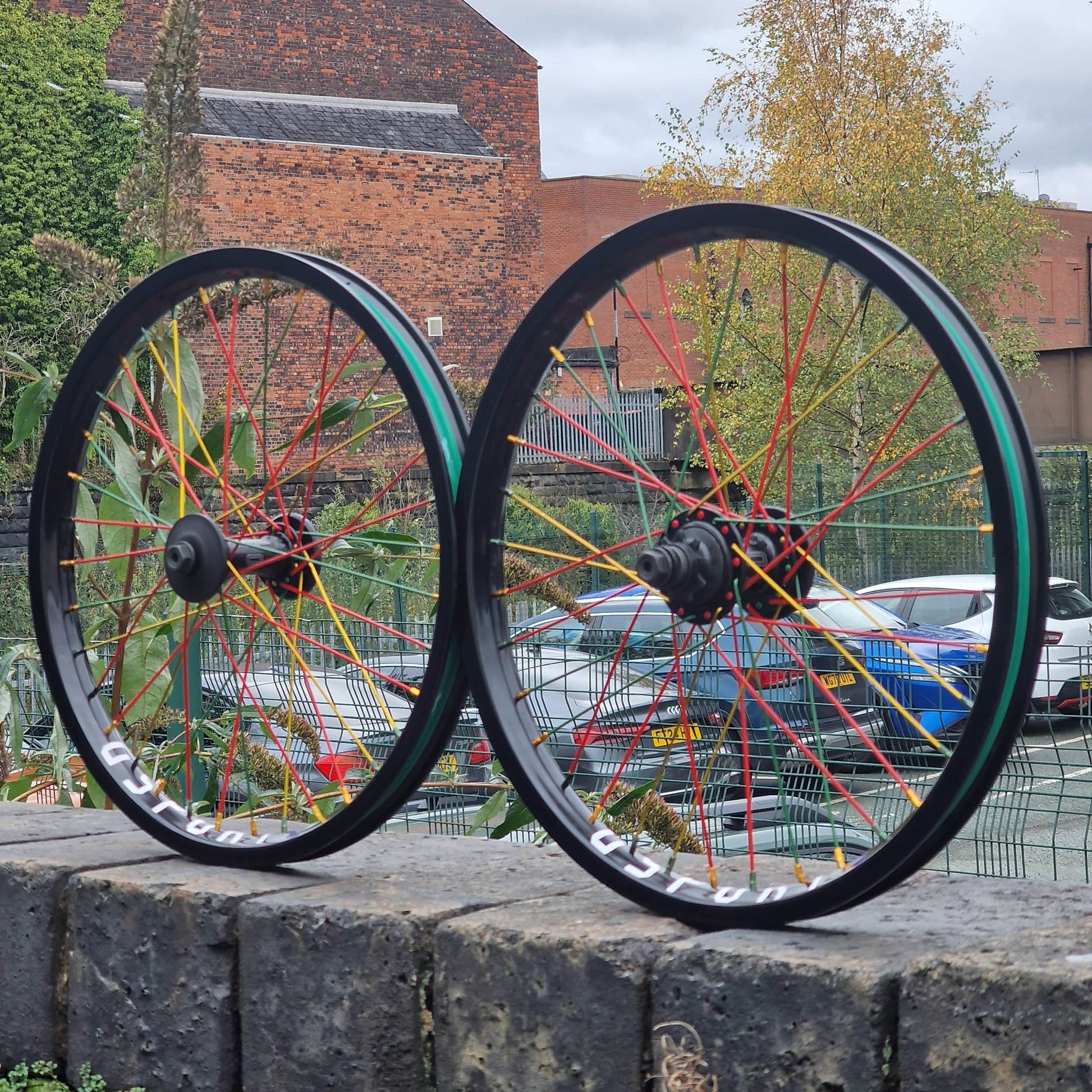 Colony BMX Parts Rasta Colony G-Sport Rasta Custom Built Wheelset Pair