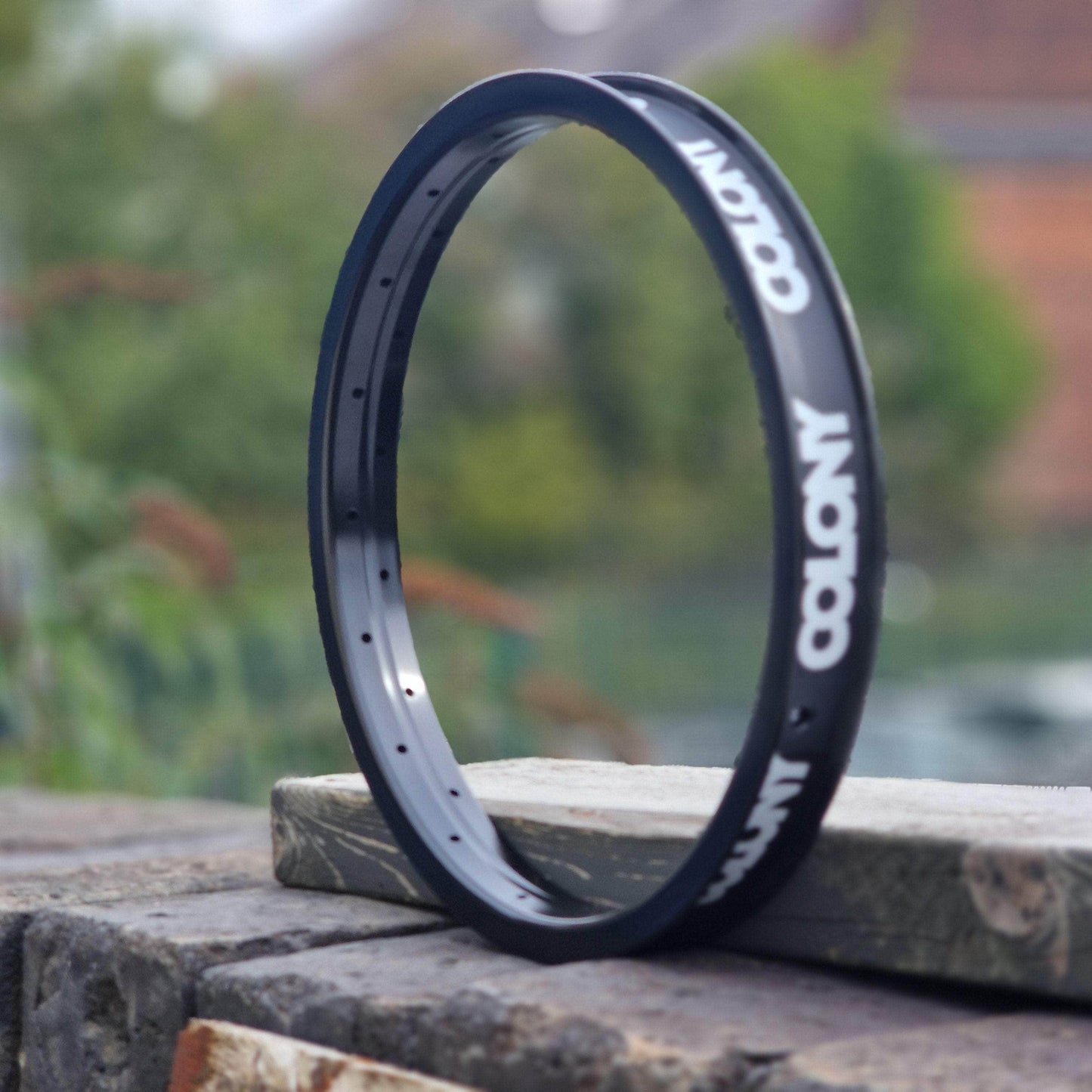 Colony BMX Parts Colony Pintour Rim