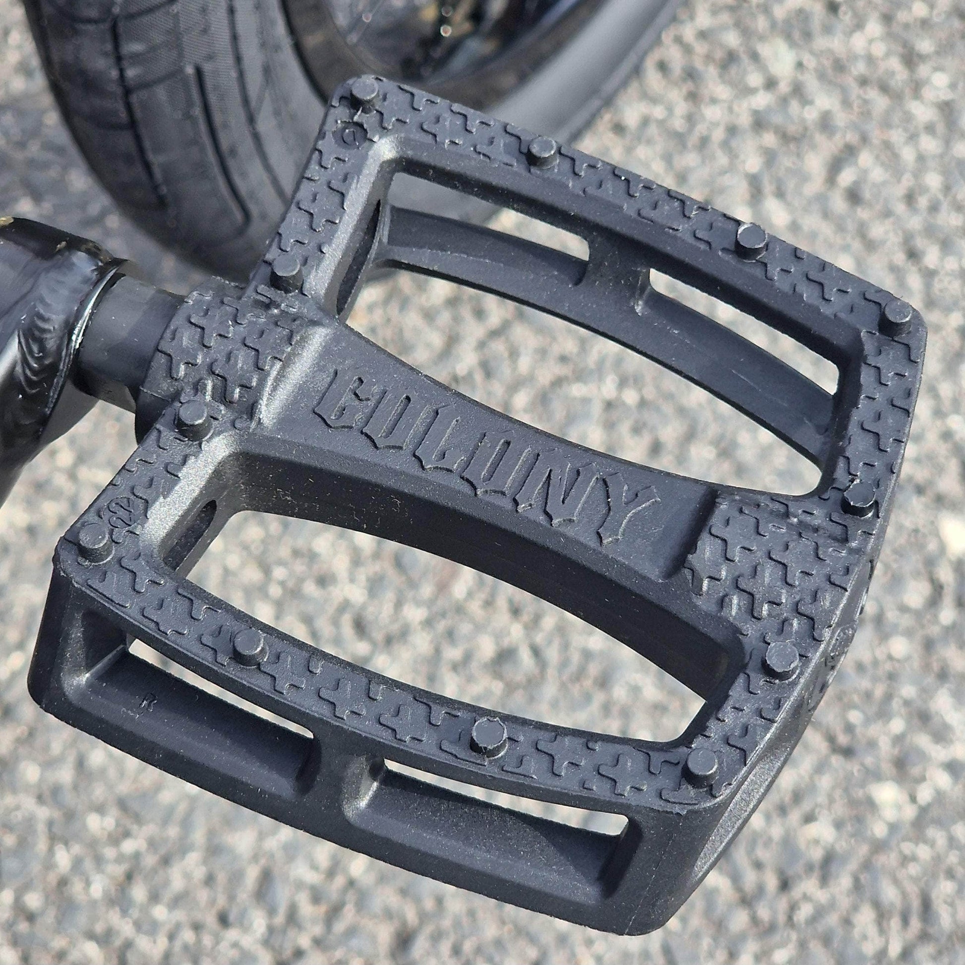 Colony BMX Bikes Clear Lavender / 20.6 Colony Rico Pat Fallico Signature Elite FC 20.6" TT Bike Clear Lavender