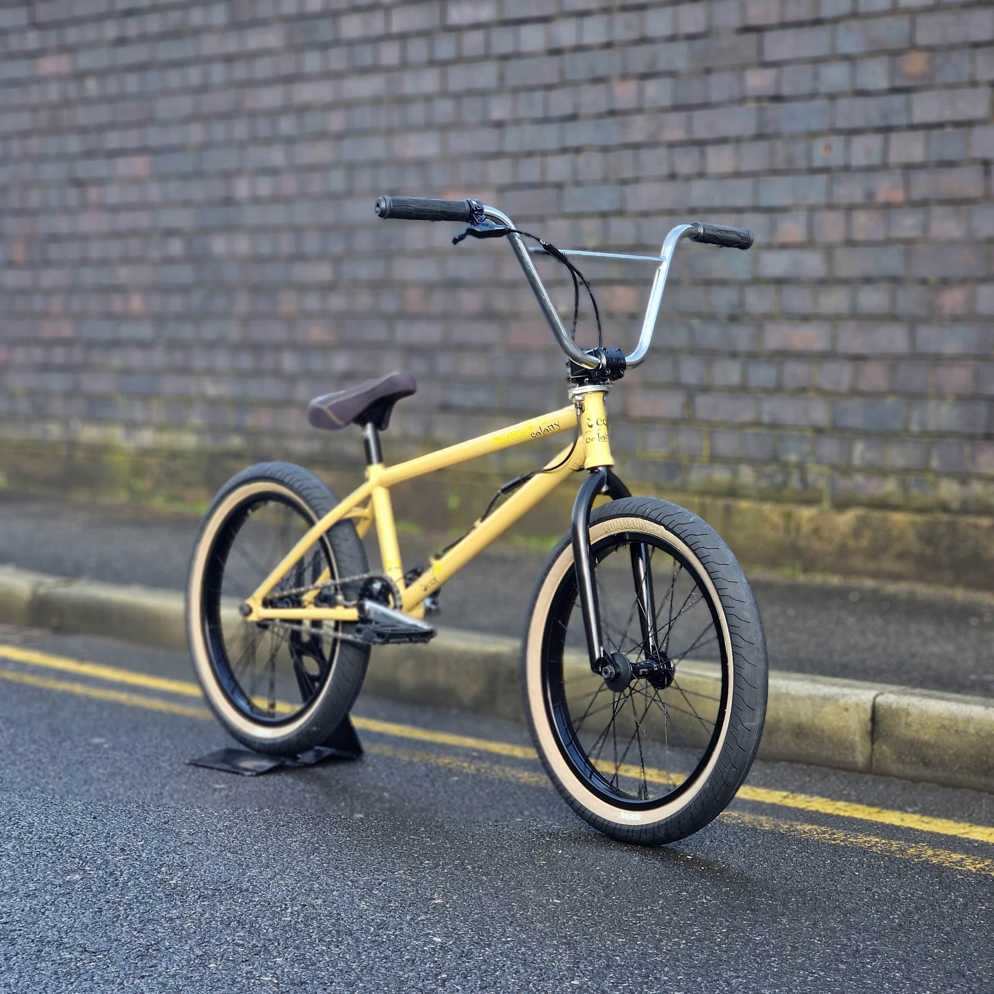 Colony BMX Bikes Tan / 21 Colony Sect Custom 21" TT Bike Tan