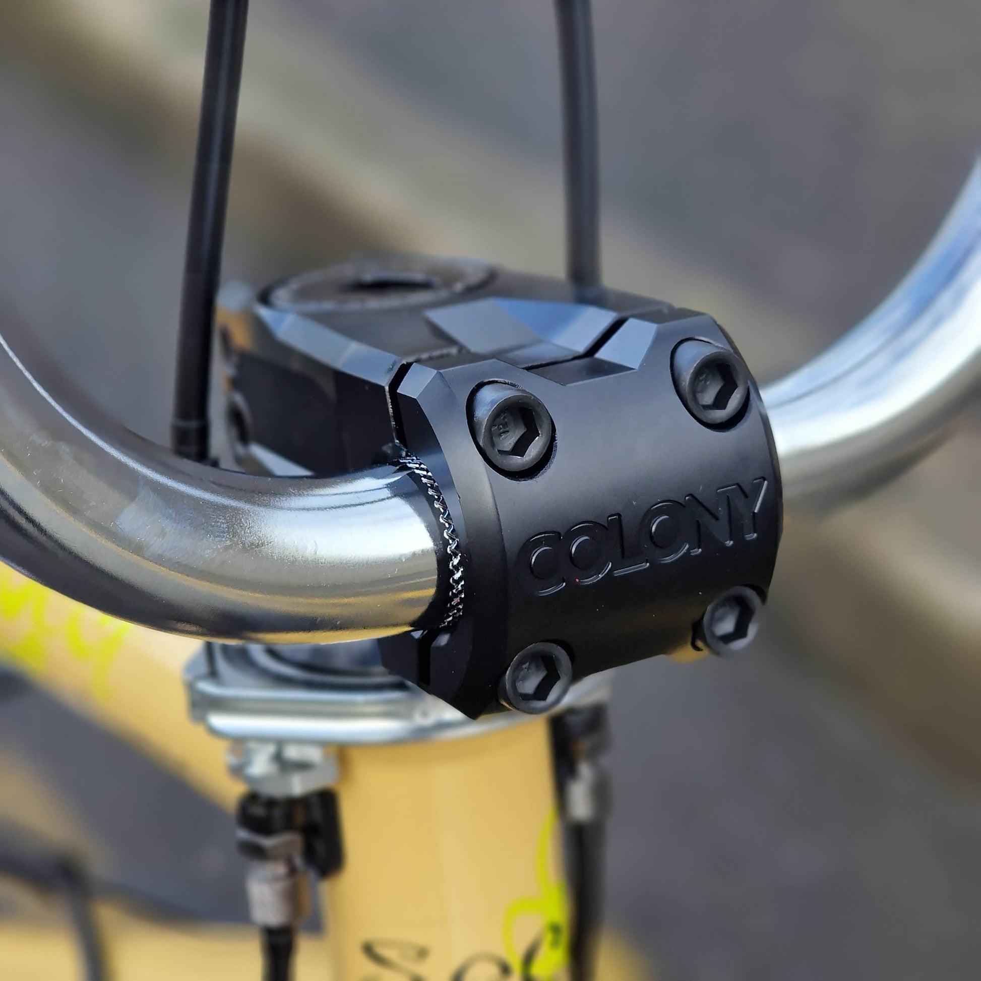 Colony BMX Bikes Tan / 21 Colony Sect Custom 21" TT Bike Tan