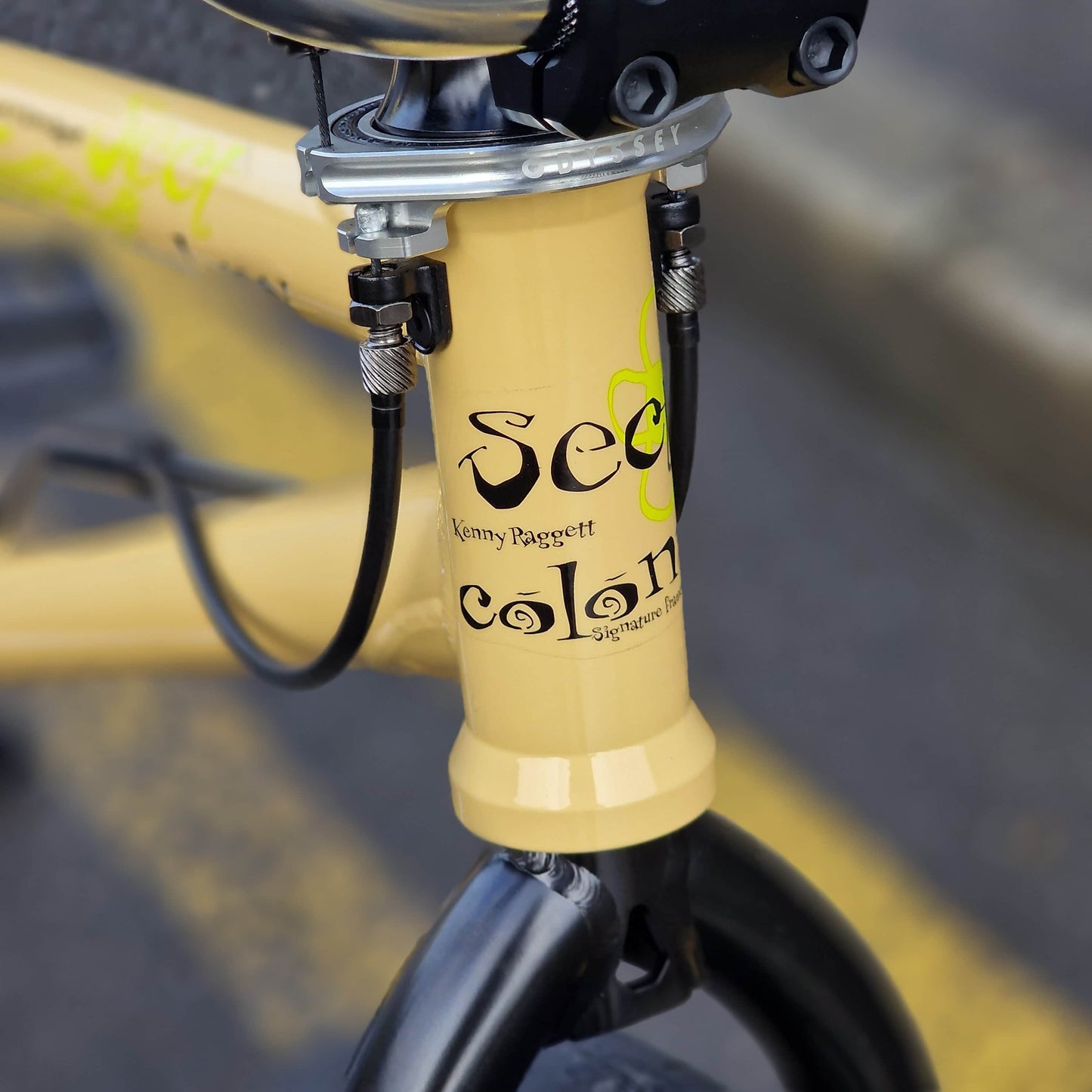 Colony BMX Bikes Tan / 21 Colony Sect Custom 21" TT Bike Tan