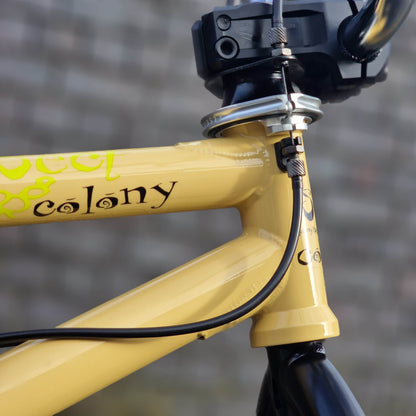 Colony BMX Bikes Tan / 21 Colony Sect Custom 21" TT Bike Tan