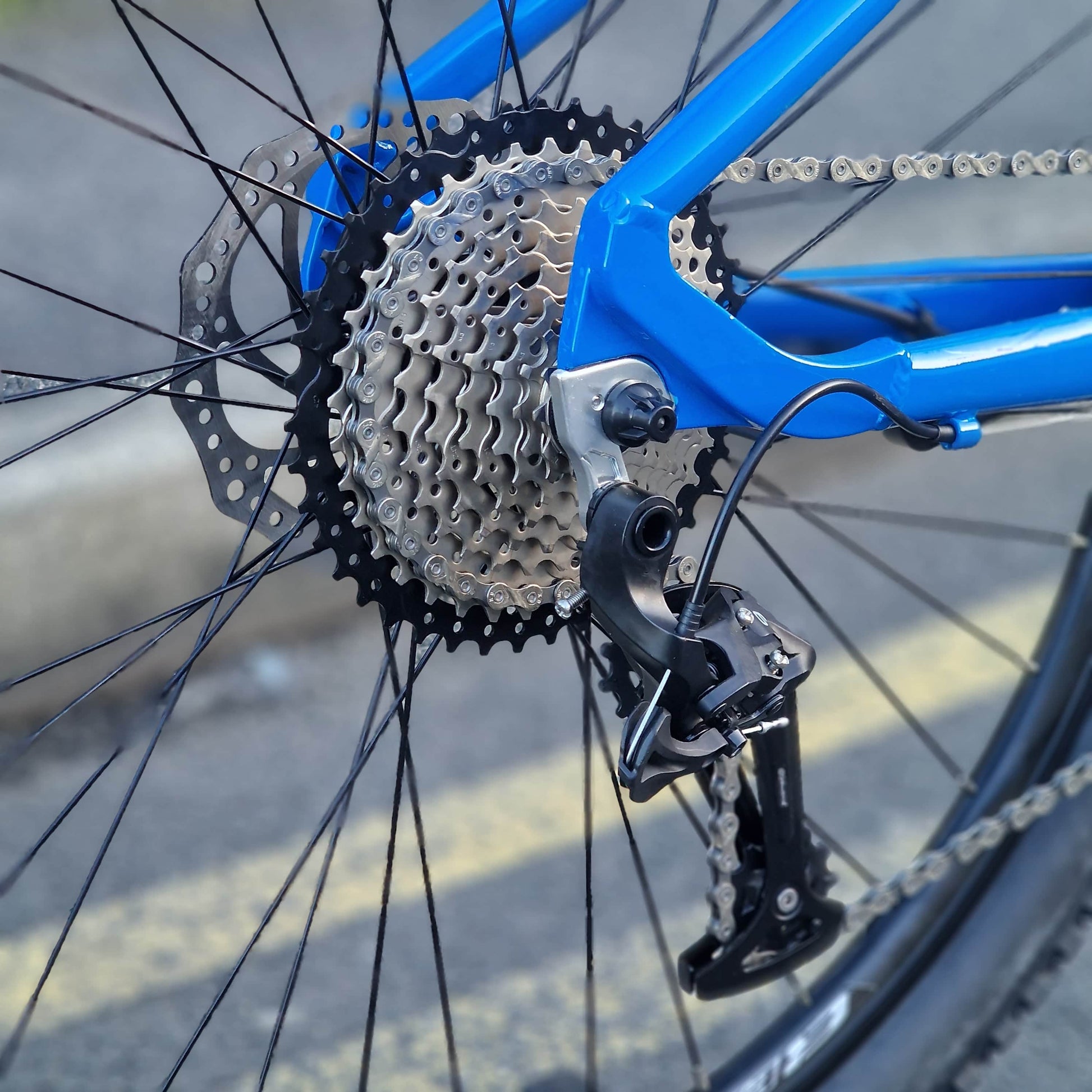 Eastern Bikes Bikes Eastern Bikes Alpaka 29 Inch Mountain Bike Blue