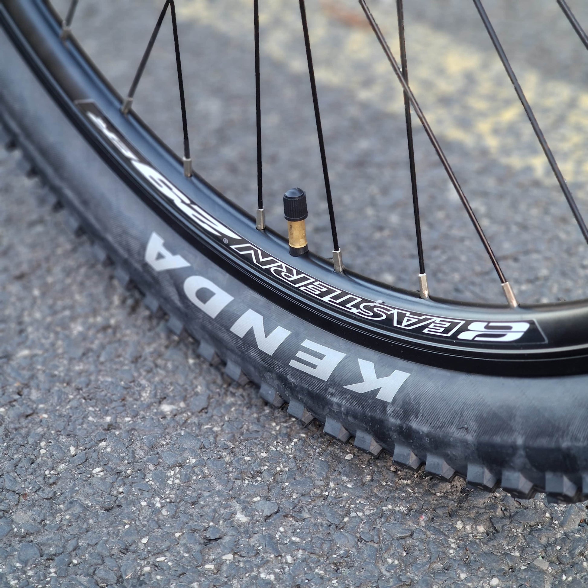 Eastern Bikes Bikes Eastern Bikes Alpaka 29 Inch Mountain Bike Blue