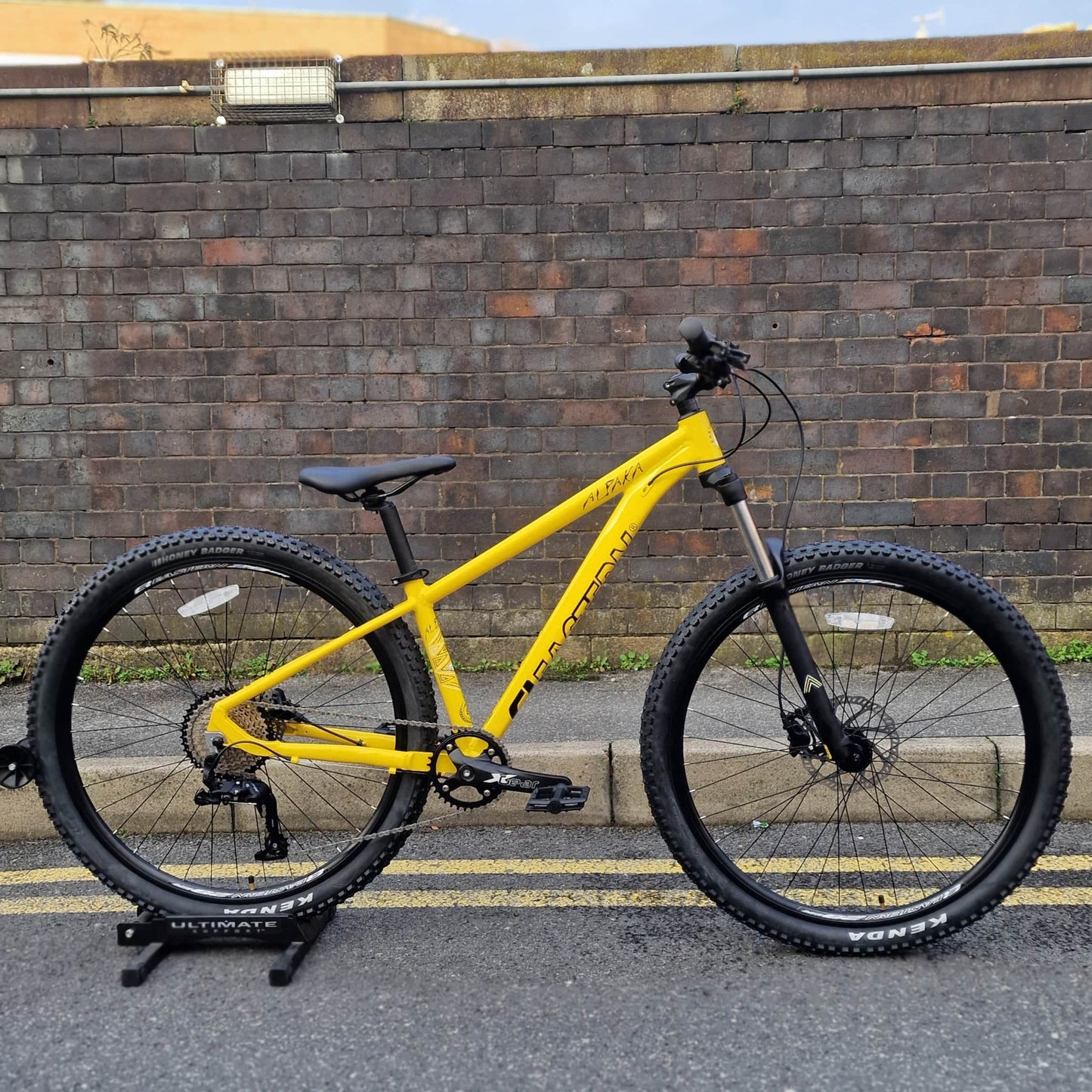 Eastern Bikes Bikes Eastern Bikes Alpaka 29 Inch Mountain Bike Yellow