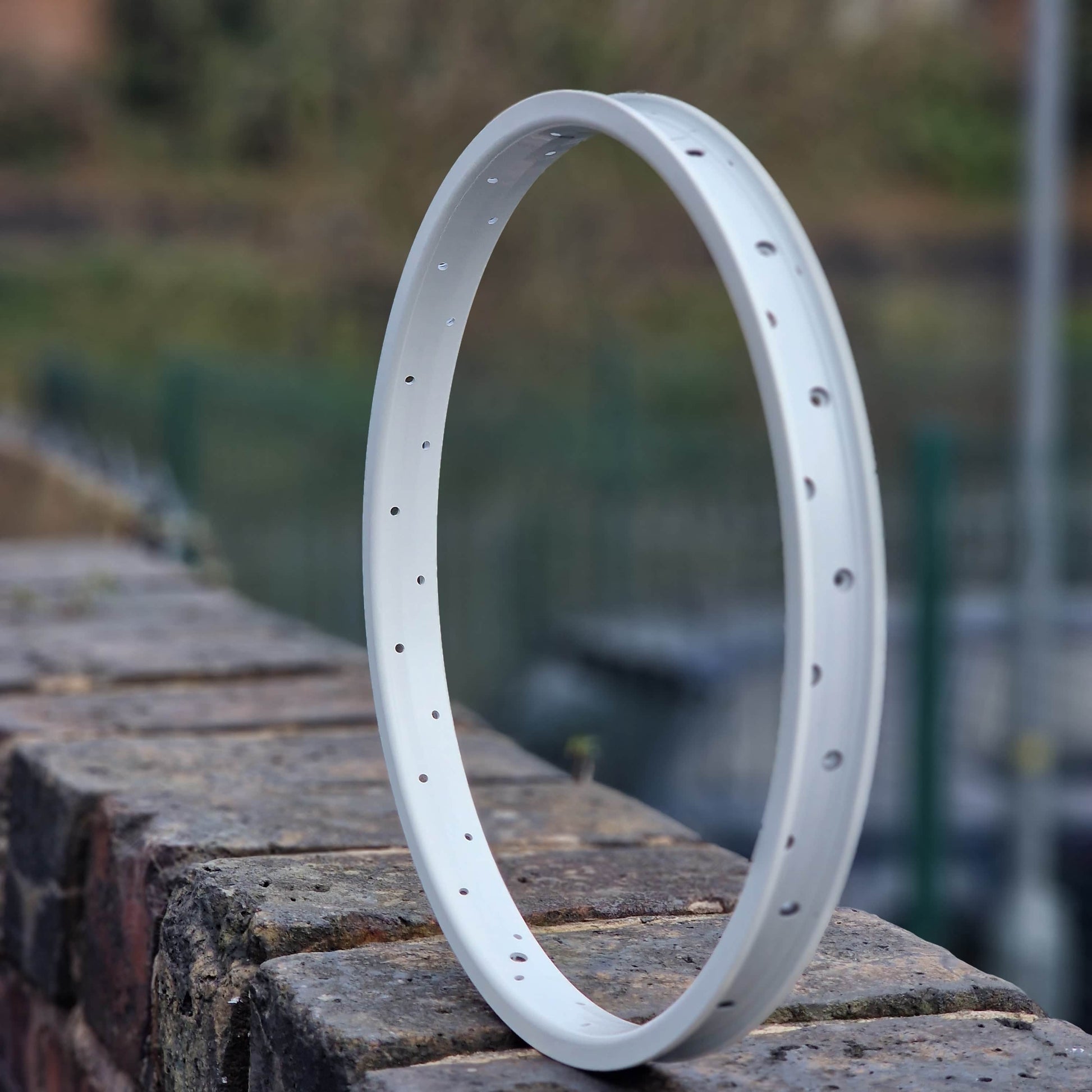Eastern Bikes BMX Bikes Eastern Throttle Rim