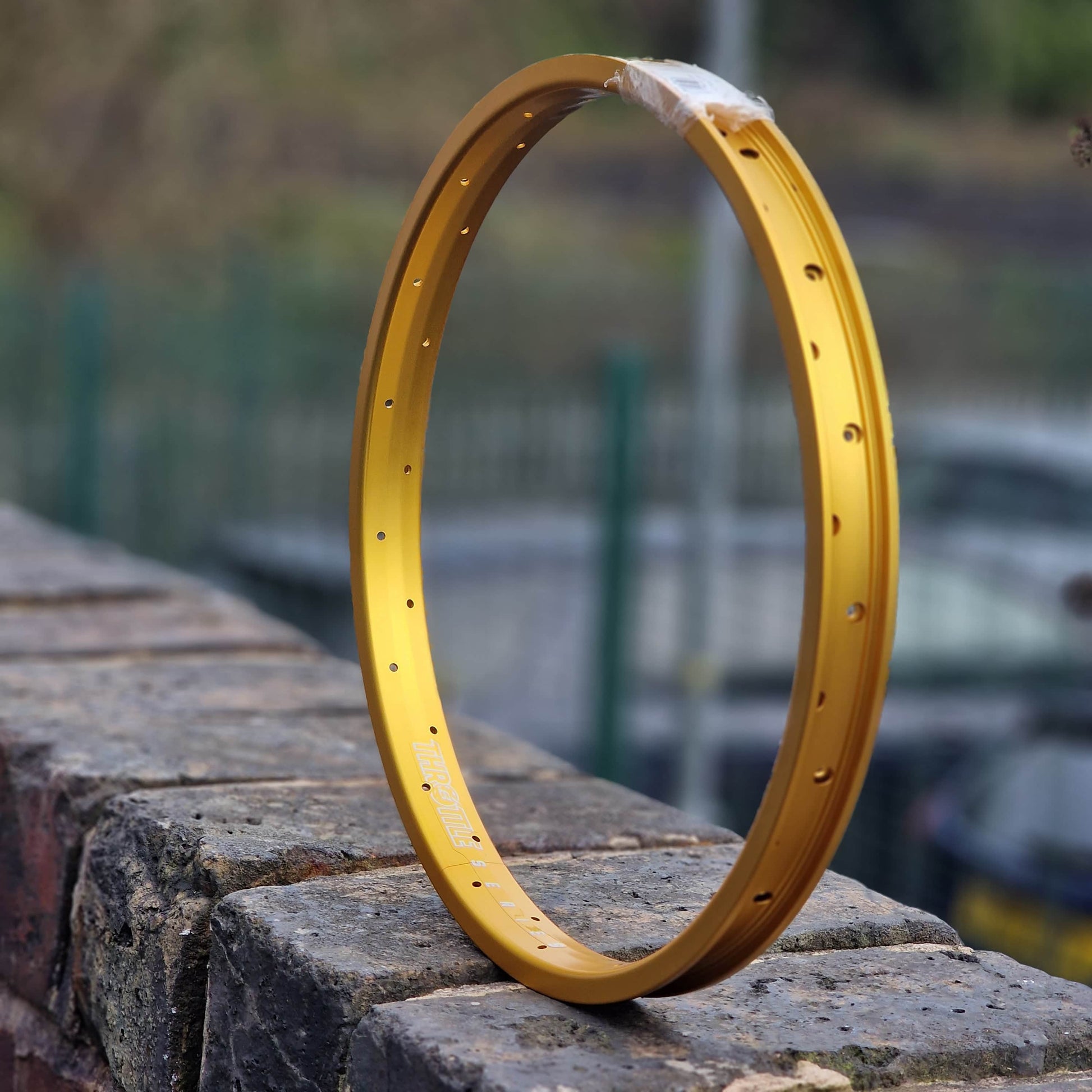 Eastern Bikes BMX Bikes Eastern Throttle Rim