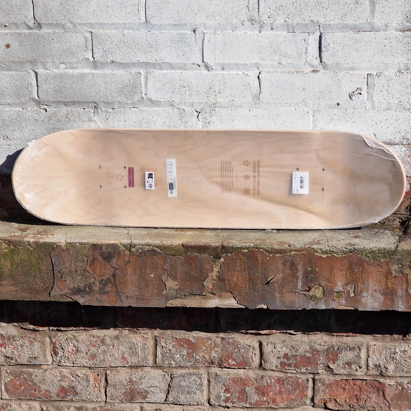 Element Skateboards Element Section CBN Natural Wood/Teal Green Team Skateboard Deck