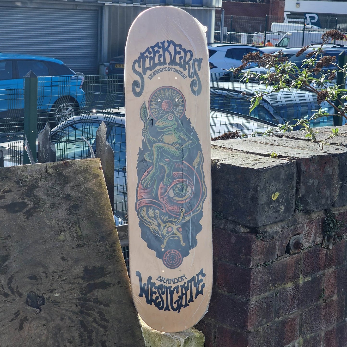 Element Skateboards 8.0 Element Seekers Brandon Westgate Natural Wood 8" Skateboard Deck