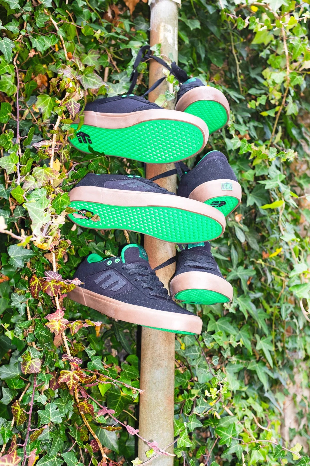 Etnies Clothing & Shoes Etnies Windrow Vulc x Dig Green / Black