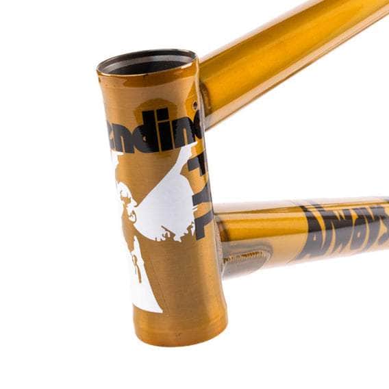 Fiend BMX Parts Fiend Reynolds V4 Frame Trans Gold