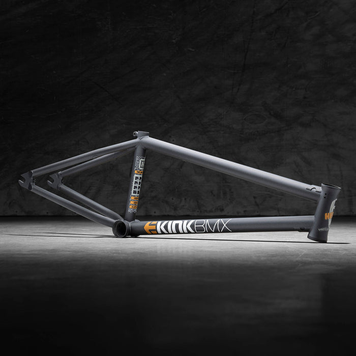 Kink Williams X Etnies Frame Golden Graphite