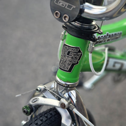 GT Green GT 2000 Performer Bike Green Previously Owned