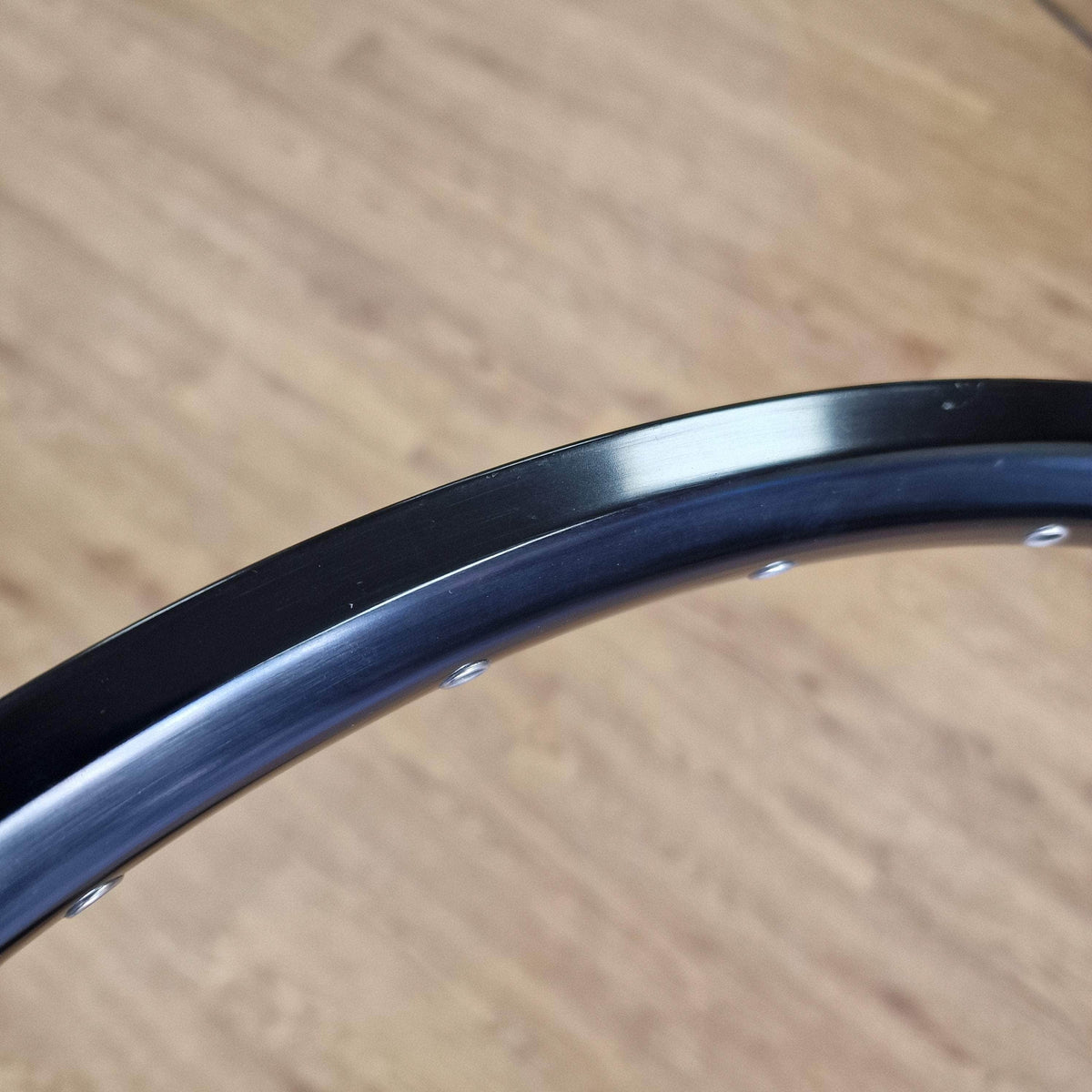 Halo SAS 26 Inch Rim | Alans BMX